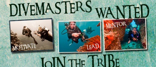 PADI-Divemaster