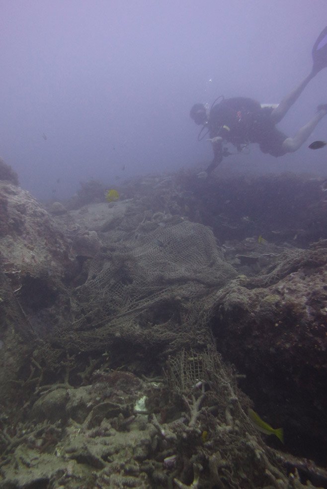 Surveying the huge nets