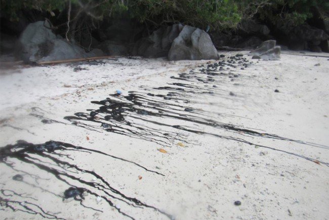 Oil balls washed up on shore slowly melting