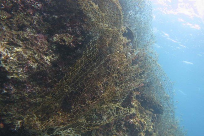 Huge drift net caught on the shallow reef at Labas