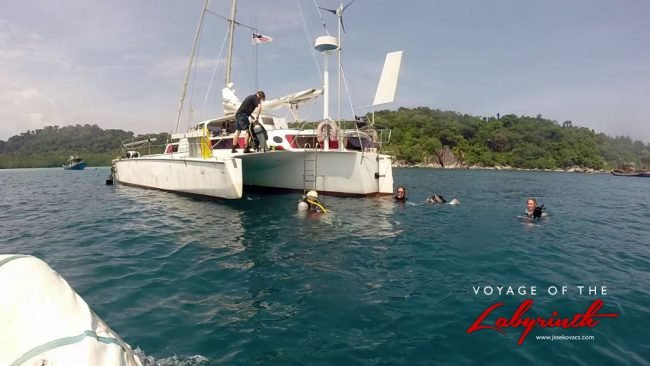 Dive Against Debris in style