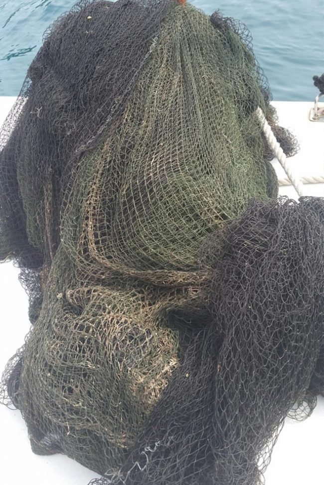 Fishing net removed from the reef