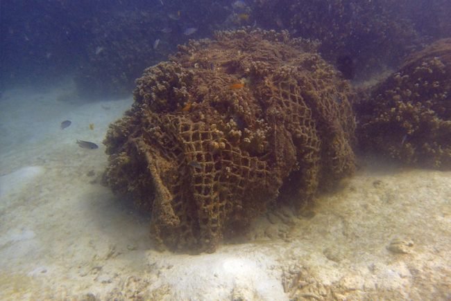 Huge fishing nets smother corals