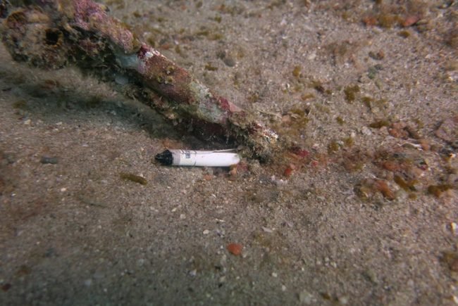 Discarded cigarette butts underneath Salang Jetty