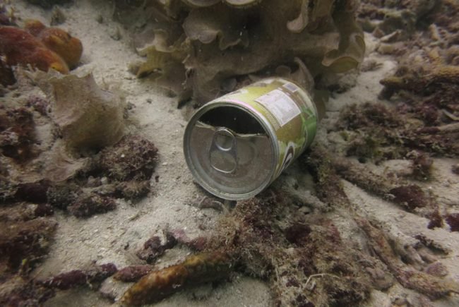 Discarded tin cans from visiting fishing boats