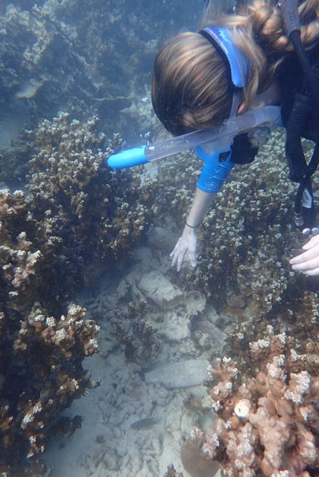 Removing marine debris from the reef