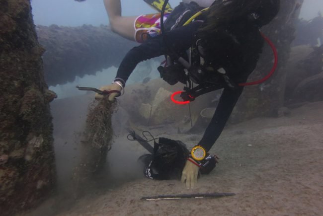 Queenie removes some net from under the jetty