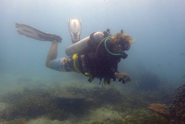 On the hunt for marine debris