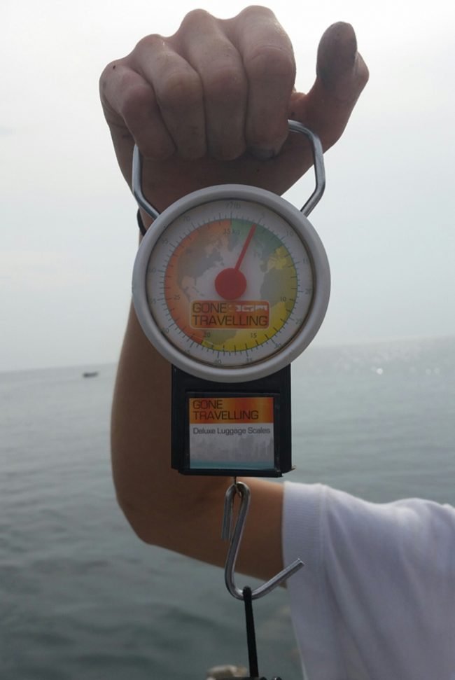 Weighing collected debris