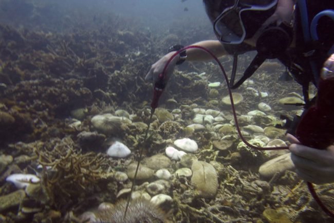 Helping_The_Ocean